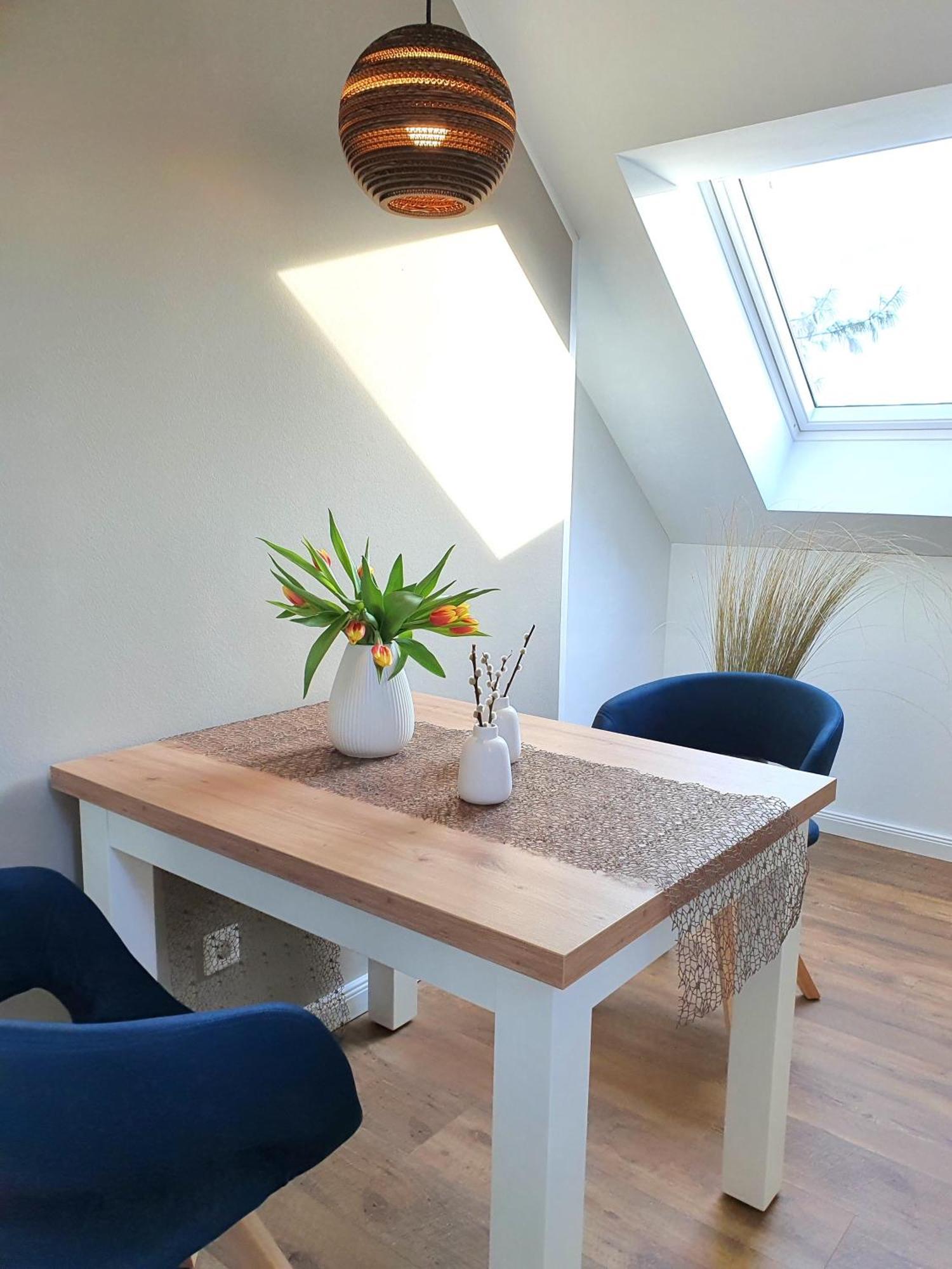 Apartment Camenia